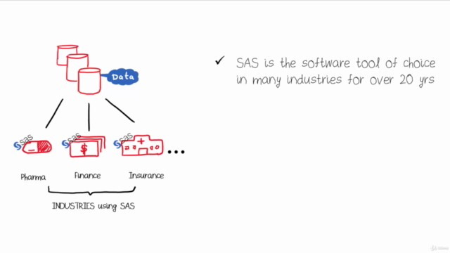 The Simplest Guide to Advanced SAS Programming -Macros-SQL – Screenshot 2