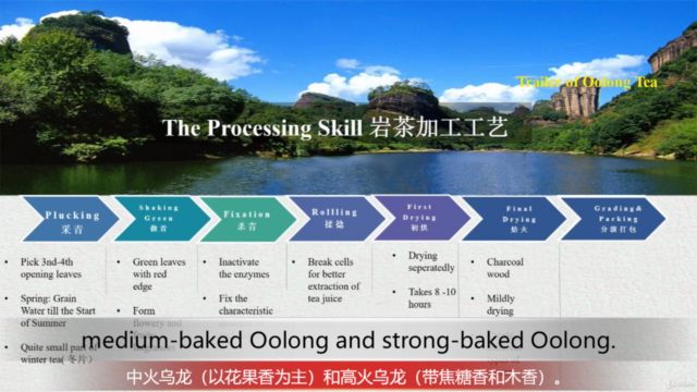 Chapter Five: The Amazing Oolong Tea 了不起的乌龙茶 – Screenshot 2