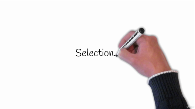 Learning Procreate from Scratch – Screenshot 3