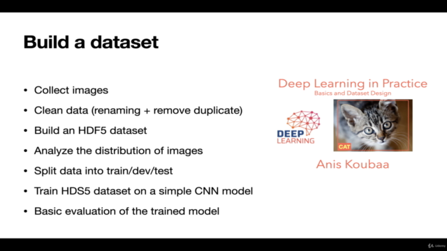 Deep Learning in Practice II: Transfer Learning Projects – Screenshot 1