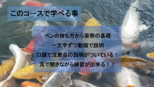 ゼロから始める「ひらがなペン字」講座|くせ字が直る!自信がつく! – Screenshot 4