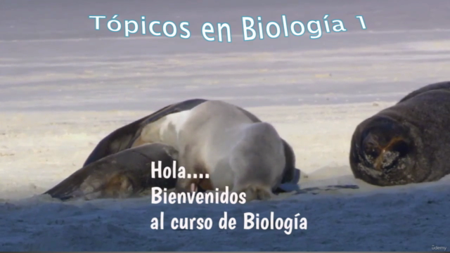 Tópicos en Biología 1: Estudio de los seres vivos - Screenshot_02