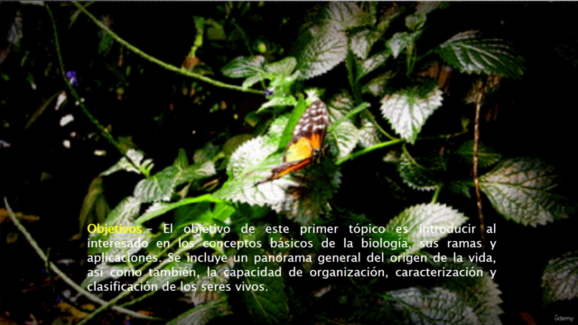 Tópicos en Biología 1: Estudio de los seres vivos - Screenshot_04