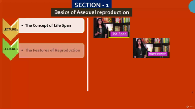 The Basics of Reproduction: A Refresher Course – Screenshot 3