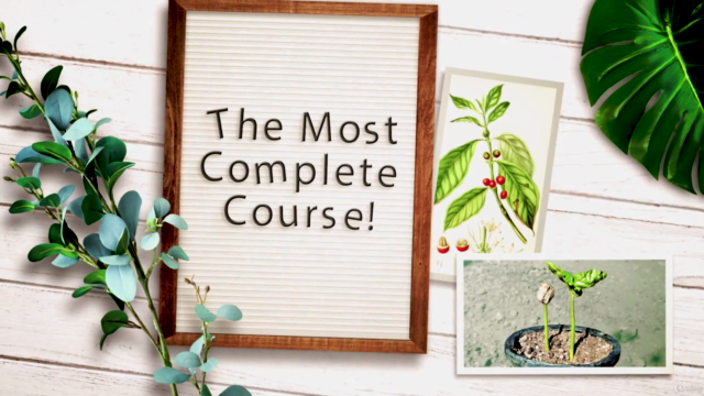 SECRETS of COFFEE. Part 2. BOTANY (Coffee Expert in 4 hours) – Screenshot 1