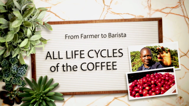SECRETS of COFFEE. Part 2. BOTANY (Coffee Expert in 4 hours) – Screenshot 3