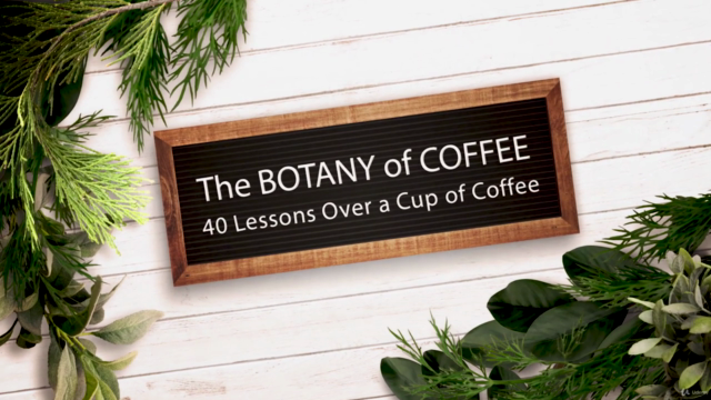 SECRETS of COFFEE. Part 2. BOTANY (Coffee Expert in 4 hours) – Screenshot 4