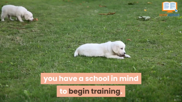 Labrador Retriever Dog Raising & Training – Screenshot 4