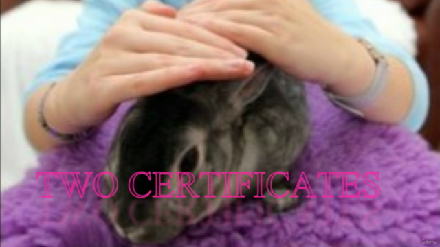 ANIMAL REIKI: Animal Reiki Practitioner Certification! - Screenshot_03