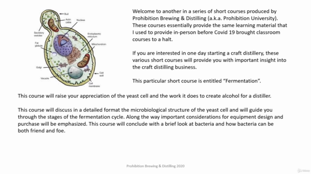 Craft Alcohol Fermentation – Screenshot 1
