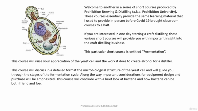 Craft Alcohol Fermentation – Screenshot 2