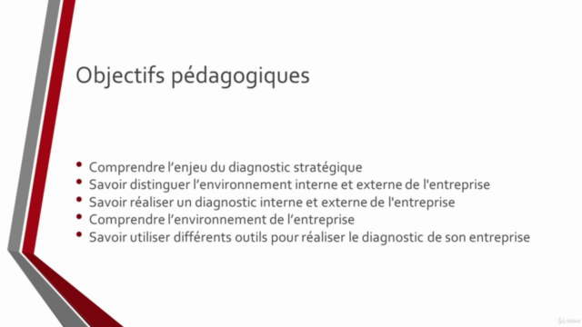 Top Manager : La réalisation du diagnostic stratégique – Screenshot 2