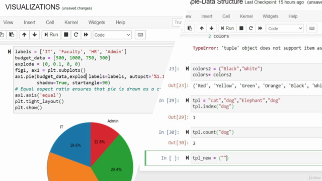 The Complete Python Data Analysis and Visualization Course - Screenshot_01