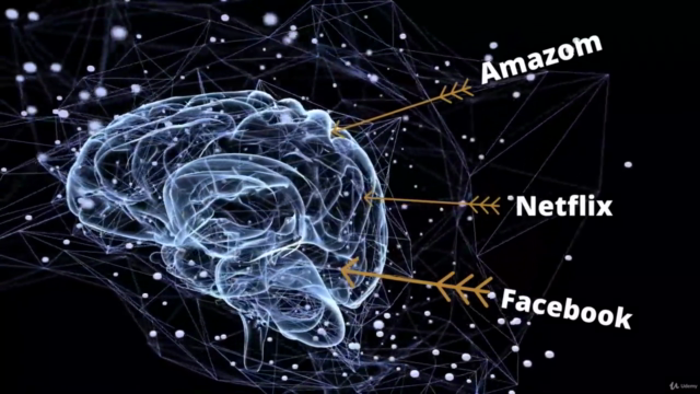 The Complete Brain Training Course - Neuroplasticity - - Screenshot_03