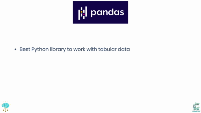 Data Manipulation with Pandas Masterclass – Screenshot 2