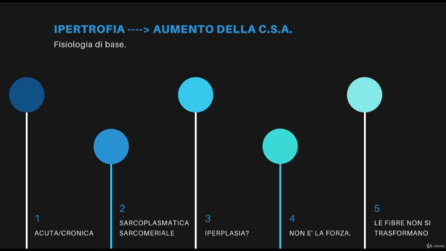Manuale ipertrofia: la crescita muscolare. – Screenshot 1