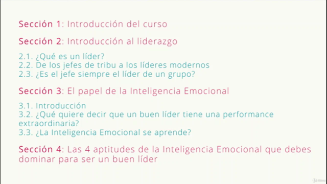 Liderazgo e Inteligencia Emocional – Screenshot 2