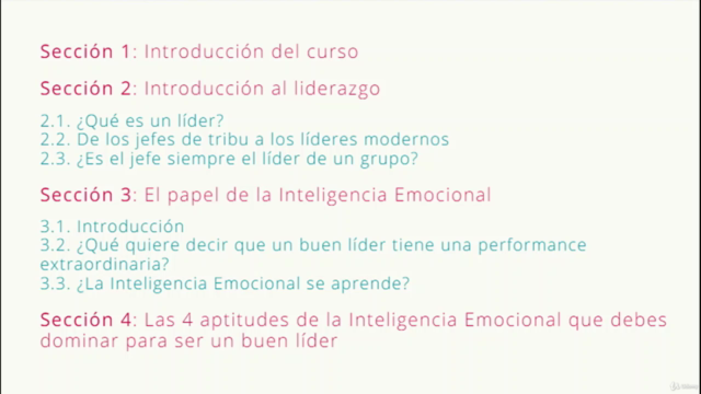 Liderazgo e Inteligencia Emocional – Screenshot 3