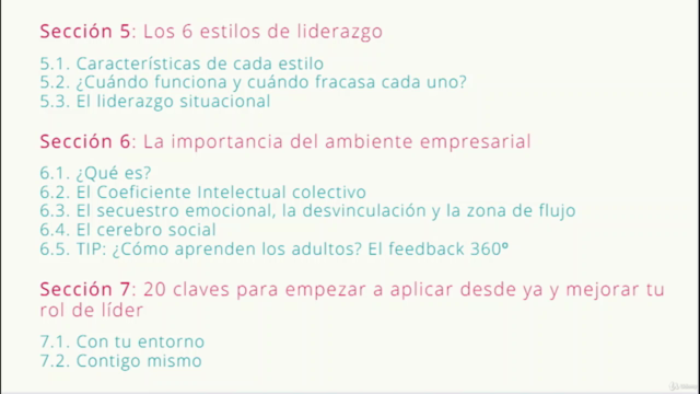 Liderazgo e Inteligencia Emocional – Screenshot 4