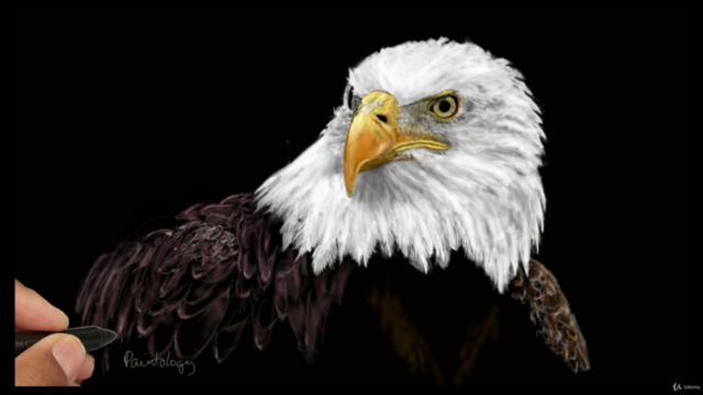 Draw an eagle with the android Paintology app – Screenshot 1