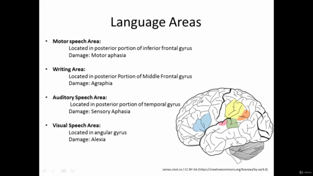 Fundamentals of Medical Neuroscience – Screenshot 1