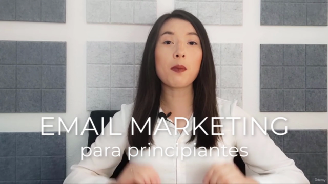 Email Marketing para principiantes – Screenshot 1