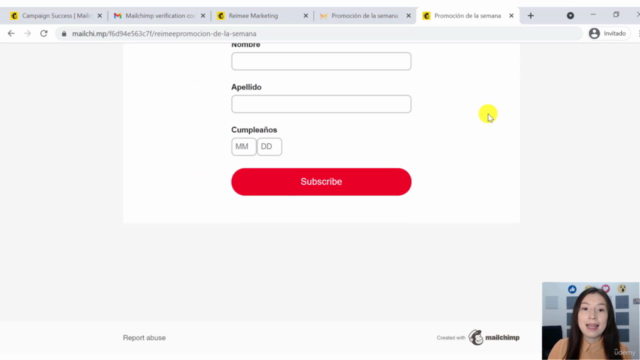 Email Marketing para principiantes – Screenshot 3