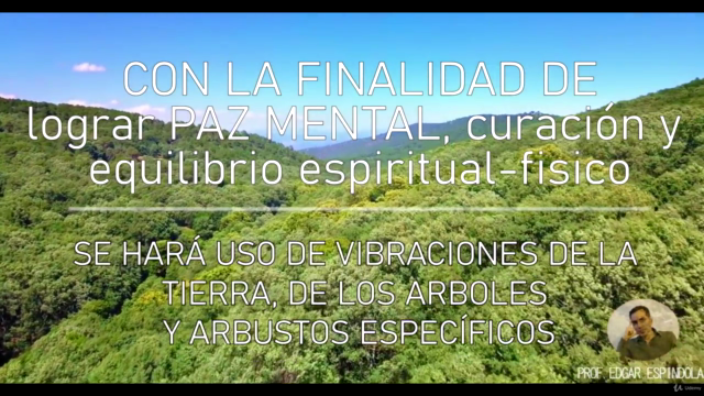 Curso de Reiki Celta / Celtic Reiki – Screenshot 2