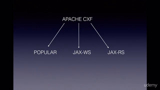 Java Web Services – Screenshot 3
