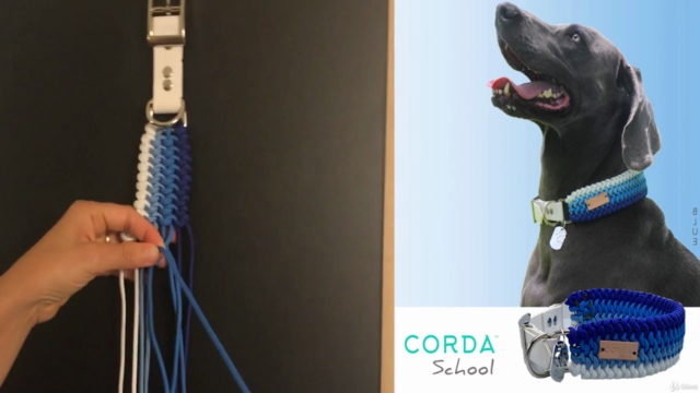 Introduction to Paracord techniques for pet collars. – Screenshot 1