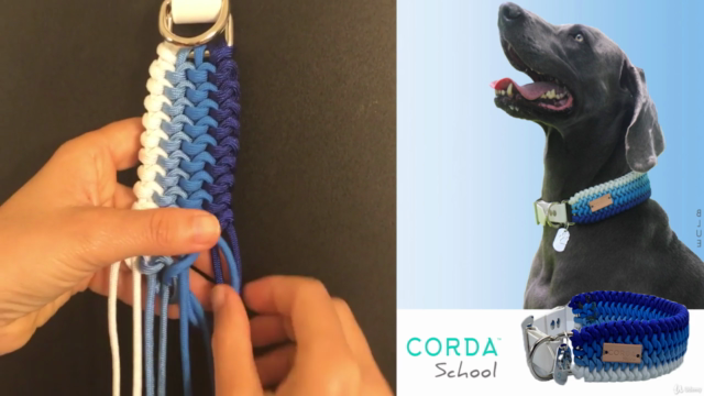 Introduction to Paracord techniques for pet collars. – Screenshot 2