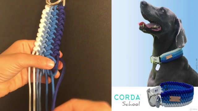 Introduction to Paracord techniques for pet collars. – Screenshot 4