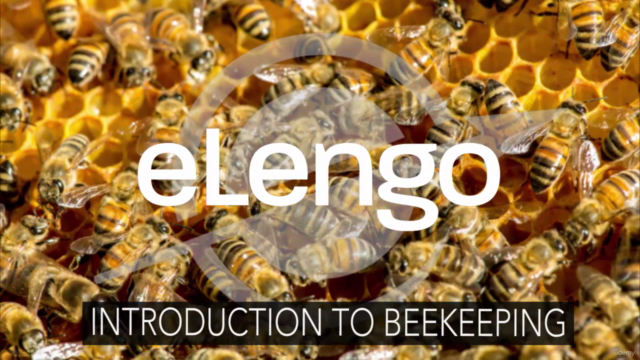 The Ultimate Beekeeper's Guide (African Bees) – Screenshot 2