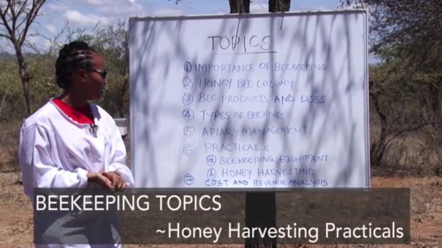 The Ultimate Beekeeper's Guide (African Bees) – Screenshot 4