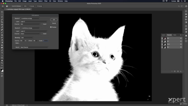 Adobe Photoshop Máster: De Básico a Profesional. – Screenshot 1