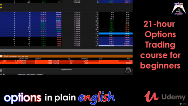 Options Trading in plain English for beginners – Screenshot 4