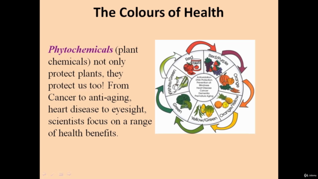 Ultimate Health and Well-being The Art of Living Masterclass – Screenshot 4