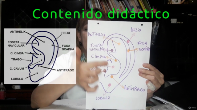 Renueva las energías mediante la auriculoterapia – Screenshot 1