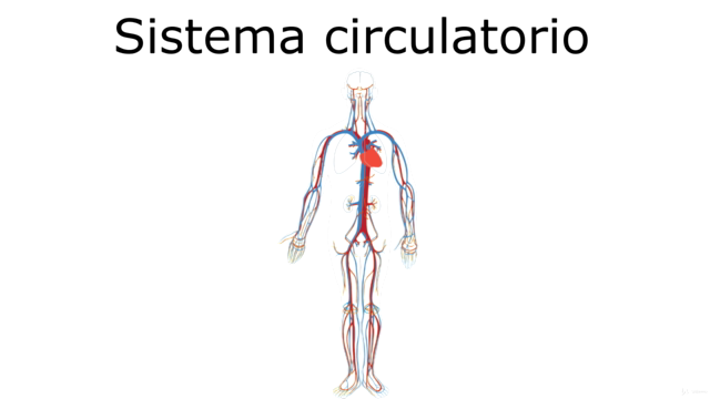 Renueva las energías mediante la auriculoterapia – Screenshot 3