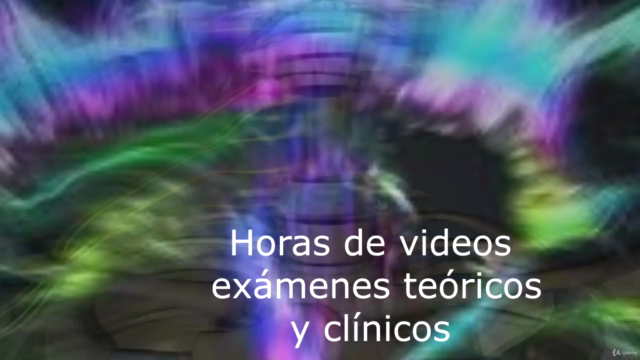 Anatomía humana: Neuroanatomía – Screenshot 1