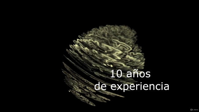Anatomía humana: Neuroanatomía – Screenshot 3