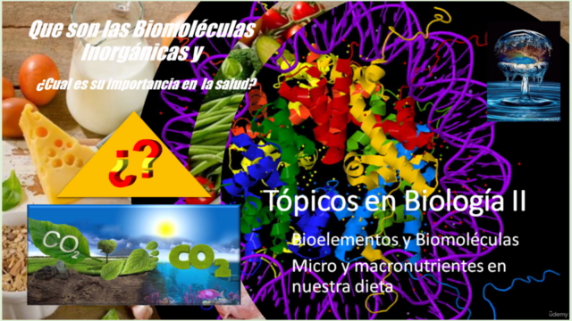 Tópicos en Biología 2: Bioelementos y Biomoléculas – Screenshot 3