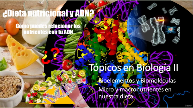 Tópicos en Biología 2: Bioelementos y Biomoléculas – Screenshot 4