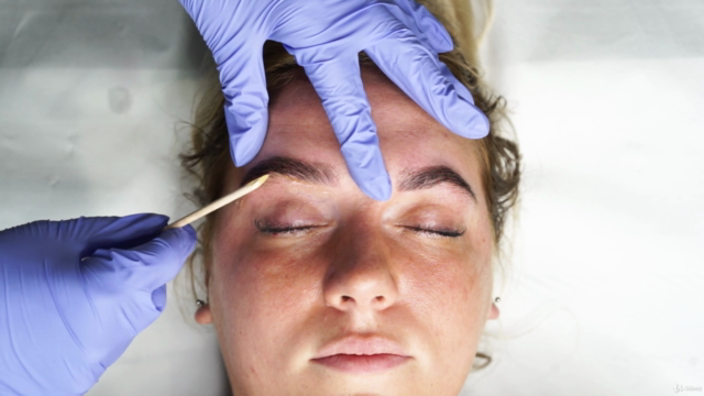 Brow Lamination Course masterclass – Screenshot 3