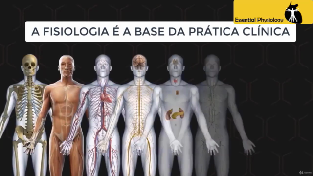 Neurofisiologia Básica – Screenshot 1