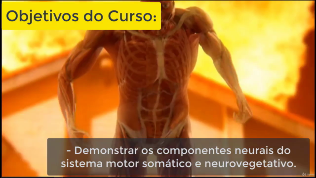 Neurofisiologia Básica – Screenshot 3