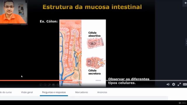 Neurofisiologia Básica – Screenshot 4