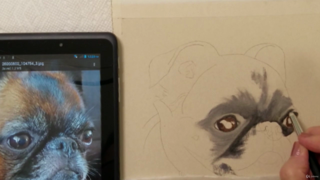 Draw and Paint a Pet Portrait Accurately – Screenshot 1