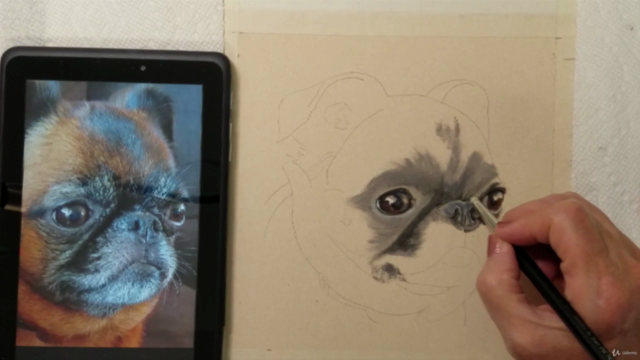 Draw and Paint a Pet Portrait Accurately – Screenshot 2