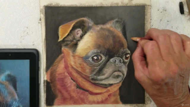 Draw and Paint a Pet Portrait Accurately – Screenshot 3
